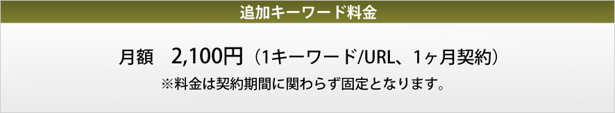 オプション料金